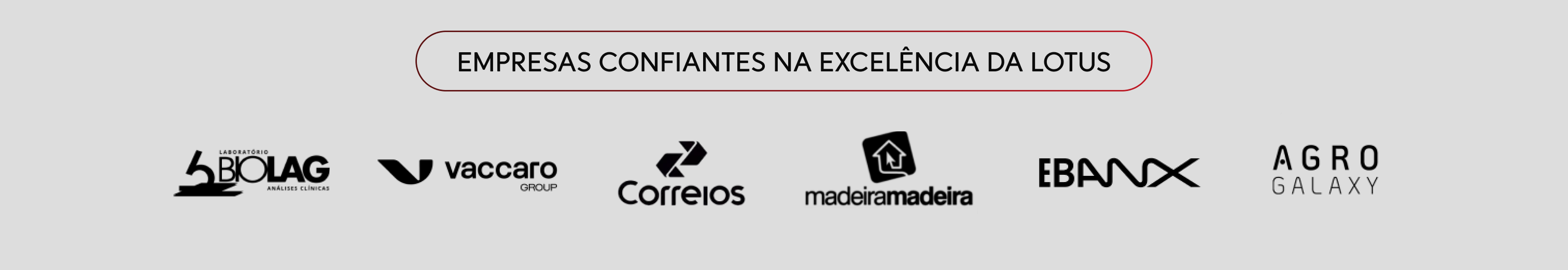 Banner Completo da Lotus Squad