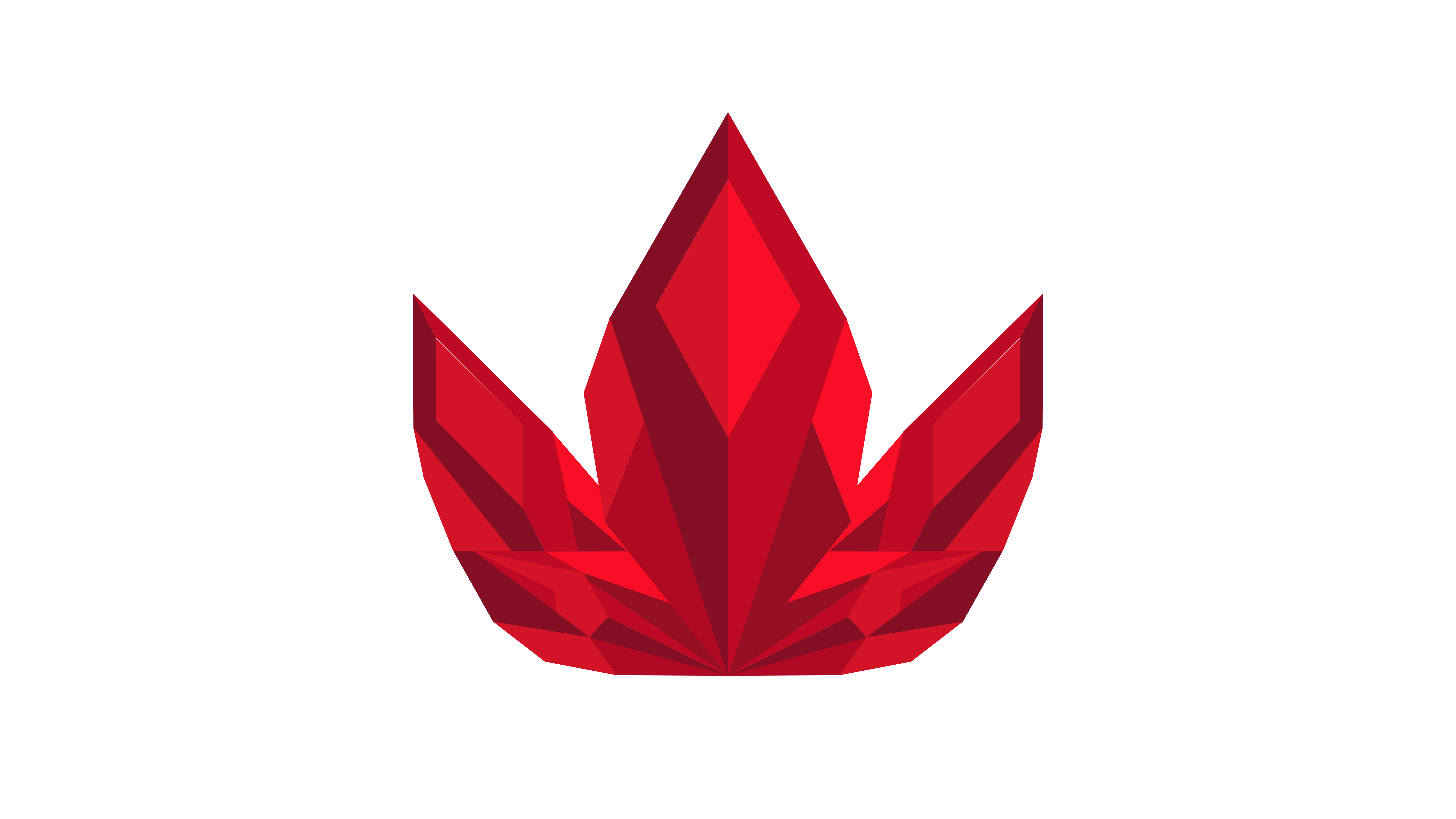Lotus Squad